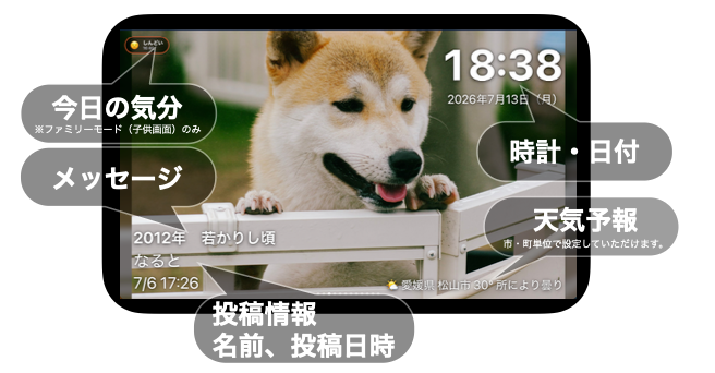 多彩な画面表示。